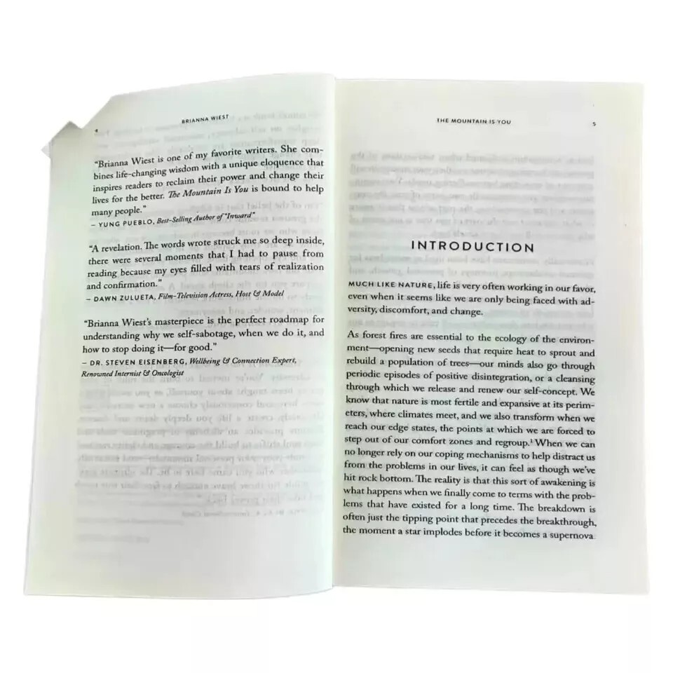The Mountain Is You: Transforming Self-Sabotage Into Self-Mastery English Books