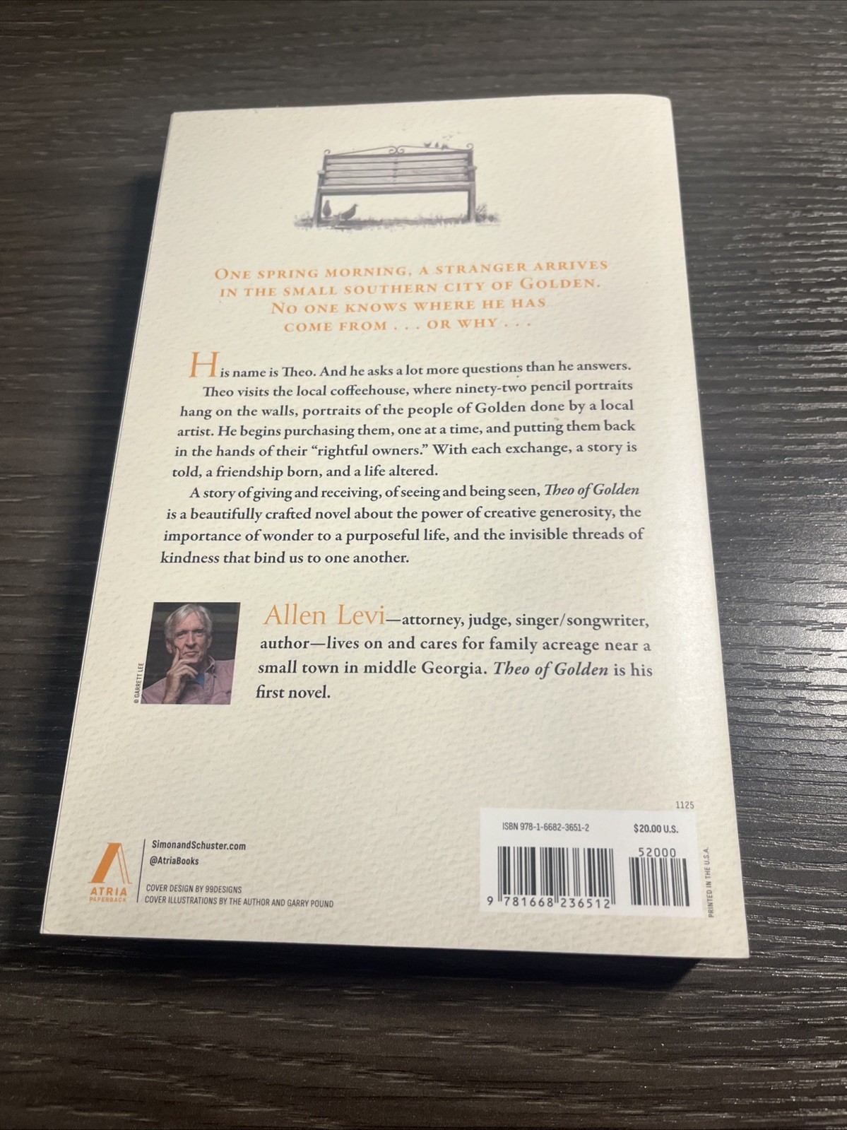 Theo of Golden : A Novel by Allen Levi (2025, Trade Paperback) New