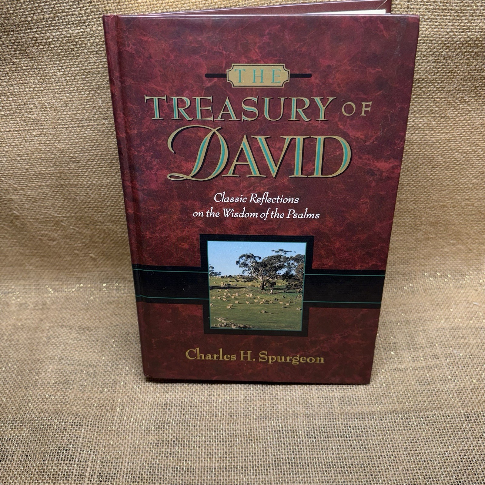 The Treasury of David Vol 3 C.H. Spurgeon Classic Reflections Wisdom Psalms HC