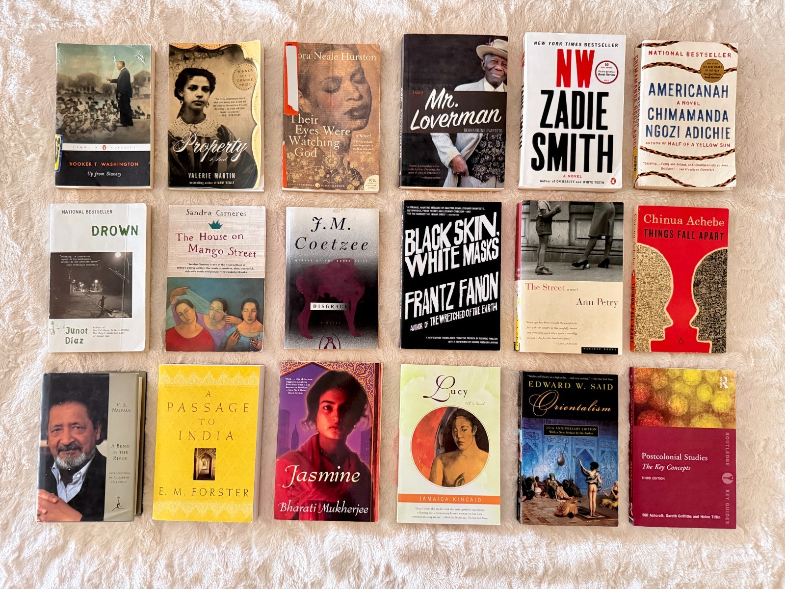 Postcolonial World Literature Book Lot Achebe Said Fanon Adichie 18 Books