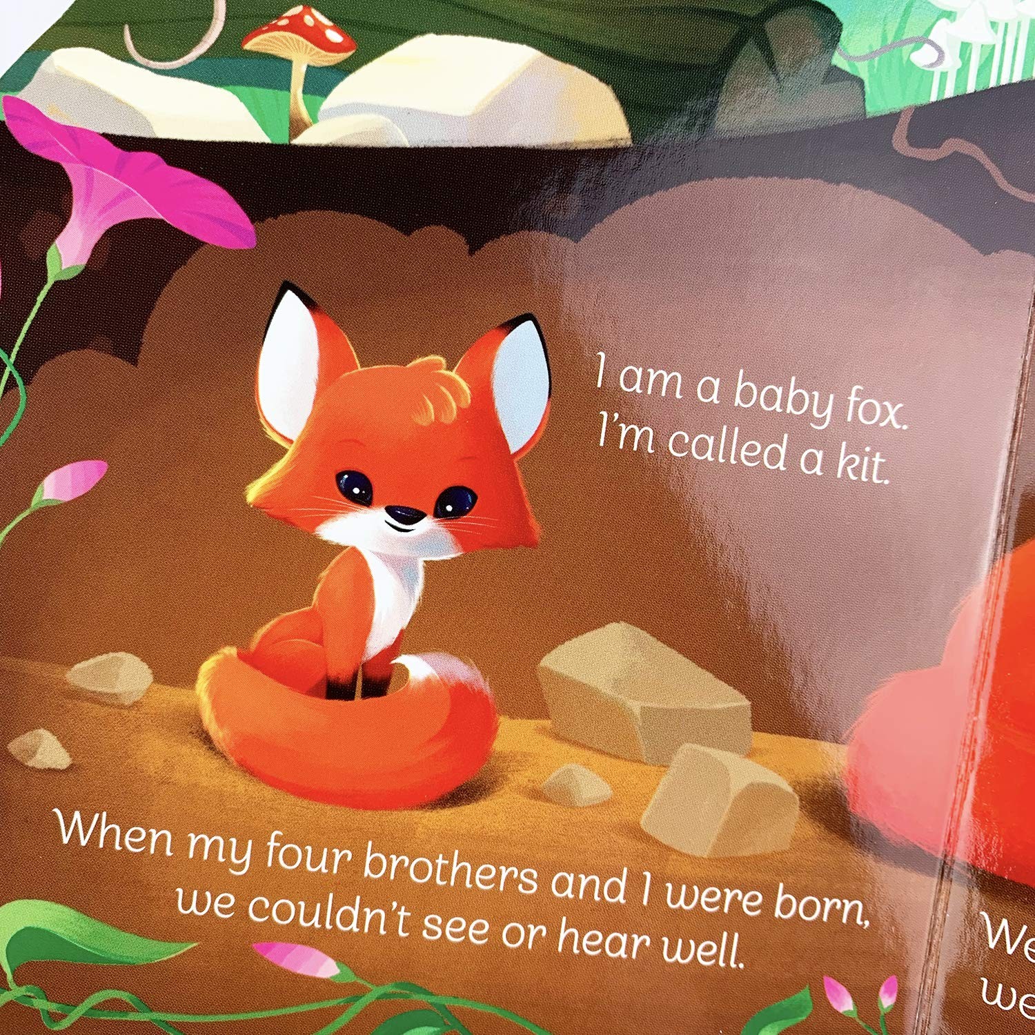 A Little Fox – Animal-Shaped Board Book for Babies and Toddlers