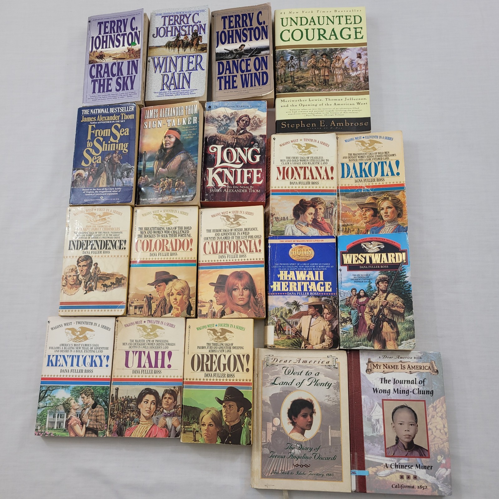 LOT OF 19 BOOKS RARE Dana Fuller Ross Terry C Johnston James Thom 17 PB 2 HB VTG