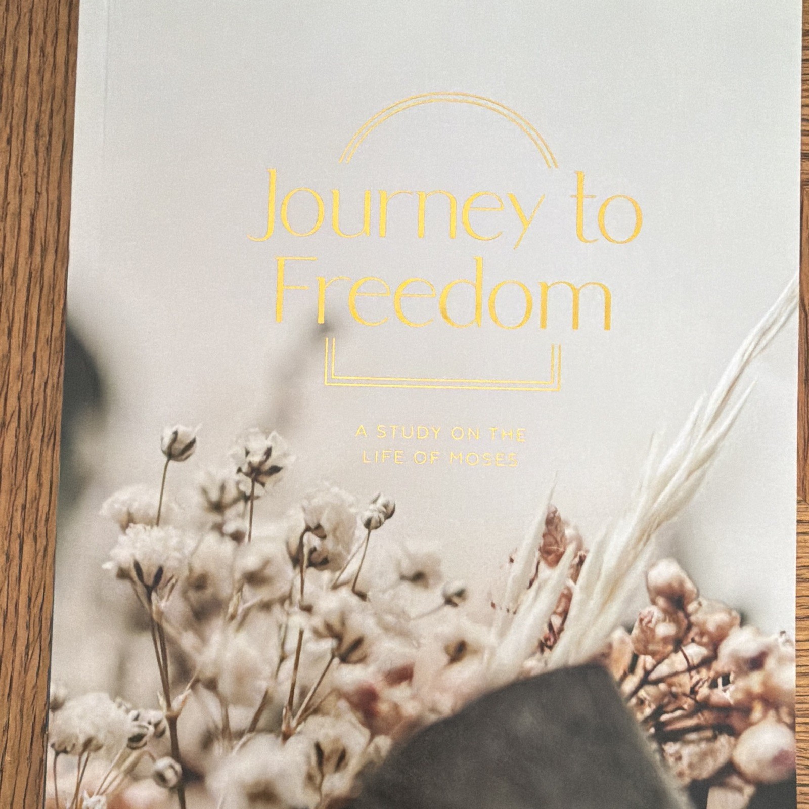 The Daily Grace Co. Journey to Freedom Kyra Daniels Moses Bible Study PB 2017