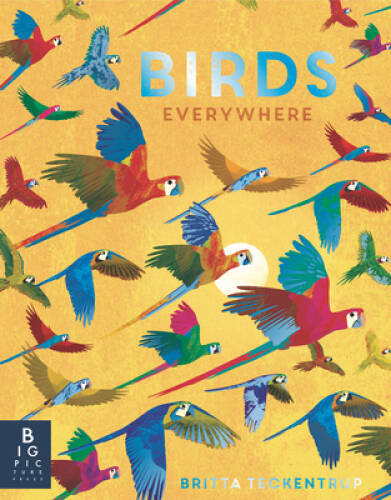 Birds Everywhere – Hardcover By Bedoyere, Camilla de la – GOOD