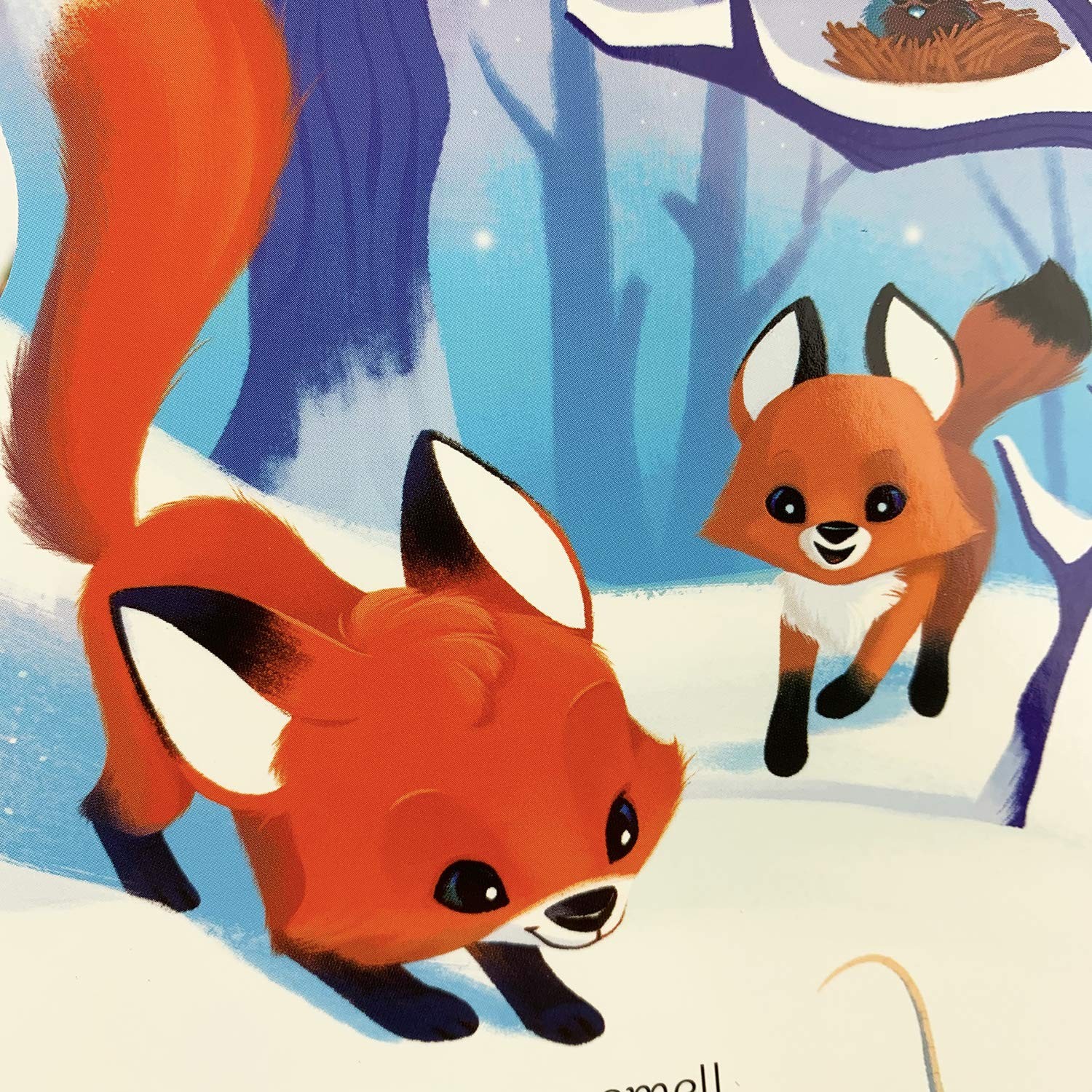 A Little Fox – Animal-Shaped Board Book for Babies and Toddlers