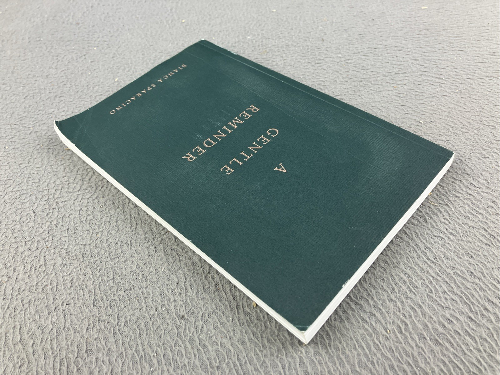 A Gentle Reminder 2020 Thought Catalog Books by Bianca Sparacino GOOD