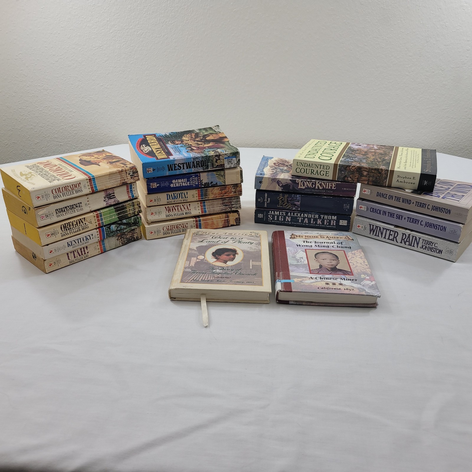 LOT OF 19 BOOKS RARE Dana Fuller Ross Terry C Johnston James Thom 17 PB 2 HB VTG