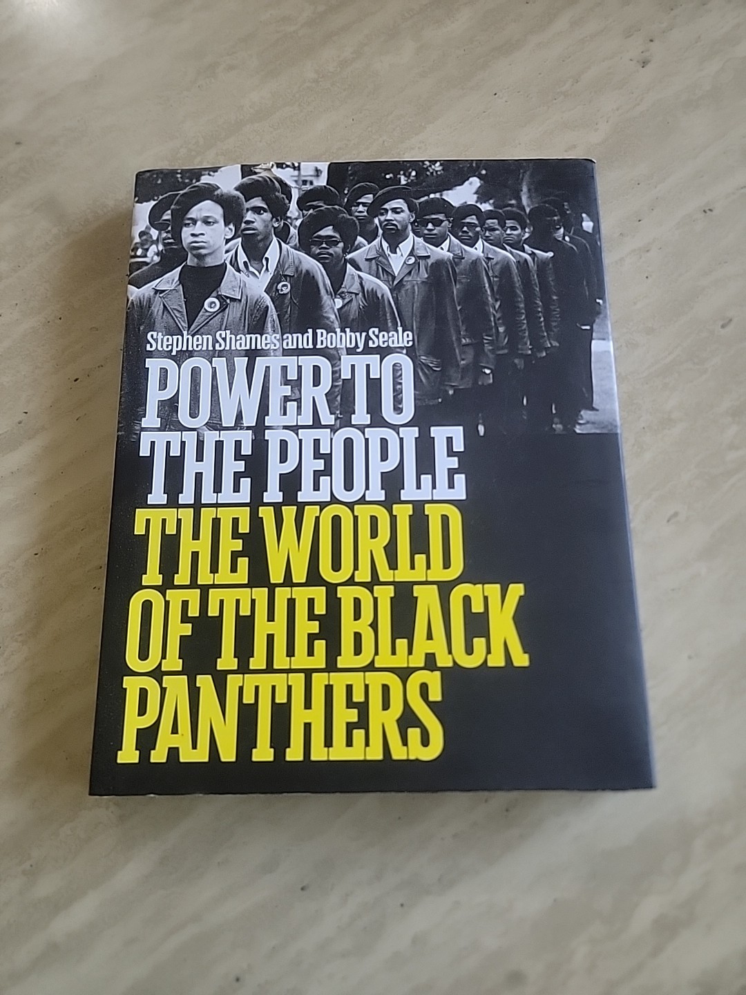 Power to the People.The World of the Black Panthers.